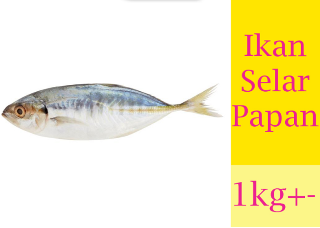 Screenshot_2020-11-15 eb862fa449e42f438d8f15250e0480af (JPEG Image, 800 × 800 pixels) - Scaled (81%).png