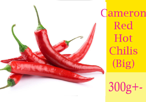 Screenshot_2020-11-15 fb50a7344de508c1919ae1ec8684c916 (JPEG Image, 1181 × 1181 pixels) - Scaled (55%).png