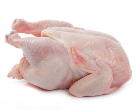 Screenshot_2020-11-15 ayam-seekor-shop jpg (JPEG Image, 1000 × 1000 pixels) - Scaled (65%).png