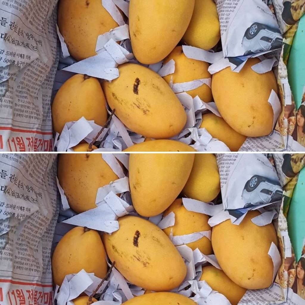 WhatsApp Image 2021-03-25 at 6.15.09 PM.jpeg