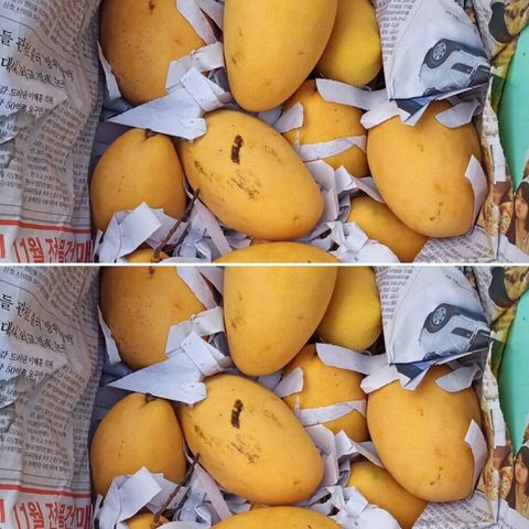 WhatsApp Image 2021-03-25 at 6.15.09 PM.jpeg