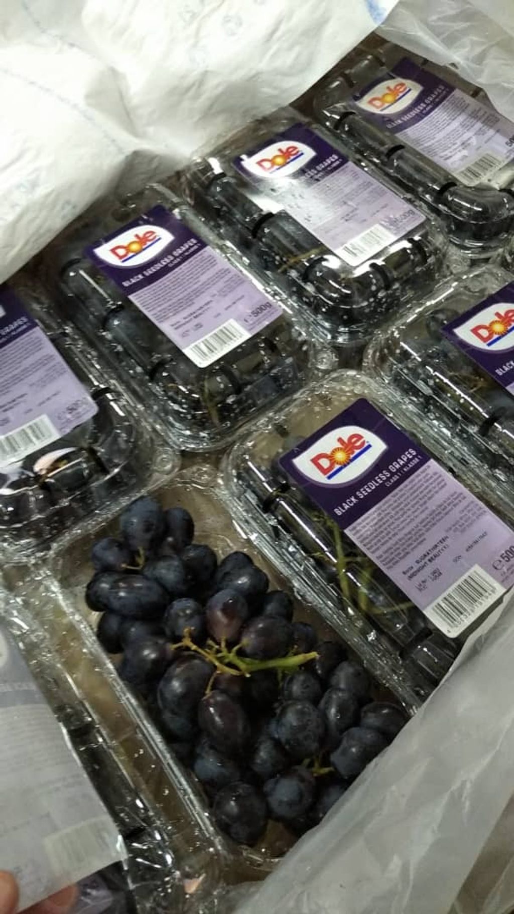 WhatsApp Image 2021-03-25 at 7.57.58 PM.jpeg