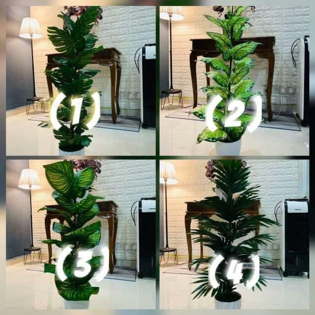 WhatsApp Image 2021-06-03 at 8.43.24 PM.jpeg