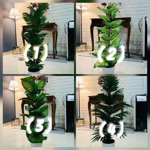 WhatsApp Image 2021-06-03 at 8.43.24 PM.jpeg