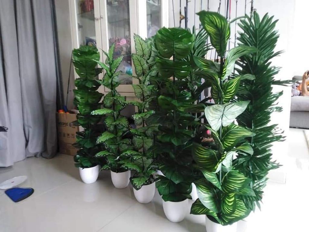 WhatsApp Image 2021-06-03 at 9.40.20 PM.jpeg