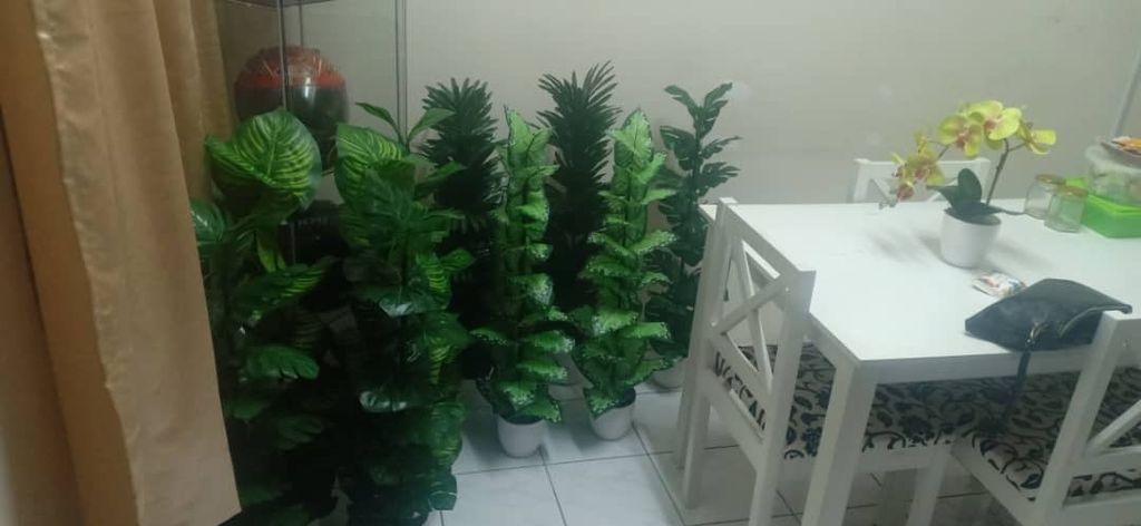 WhatsApp Image 2021-06-03 at 9.40.12 PM.jpeg