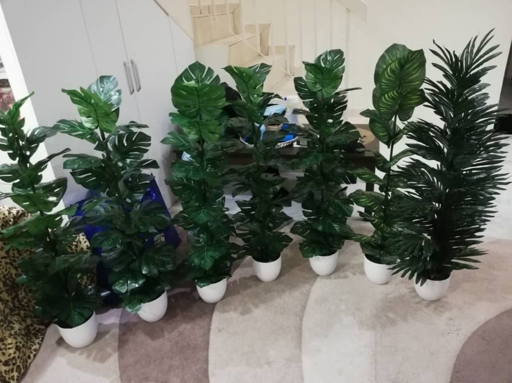 WhatsApp Image 2021-06-03 at 9.40.11 PM (1).jpeg