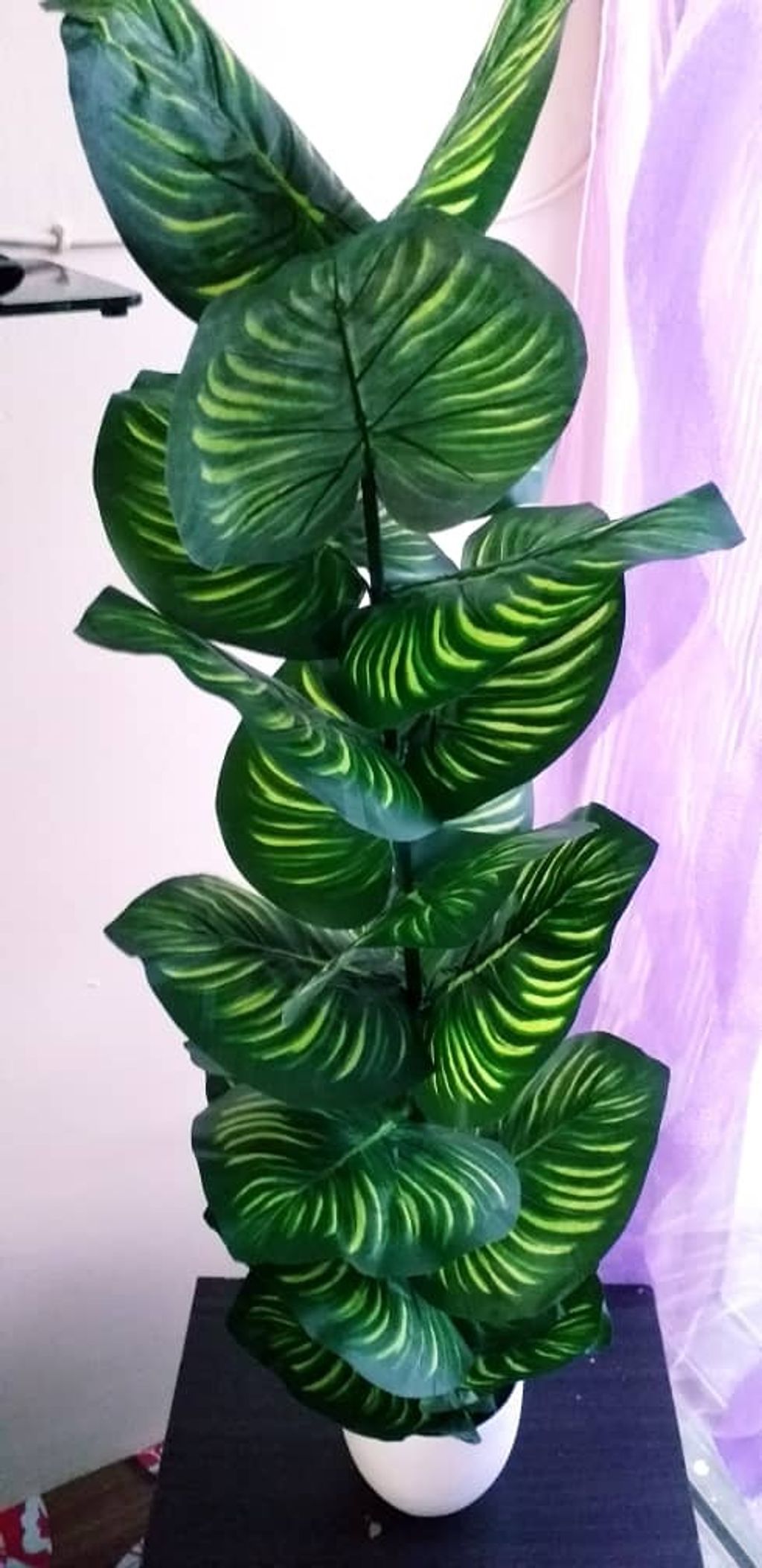 WhatsApp Image 2021-06-03 at 9.28.16 PM (2).jpeg