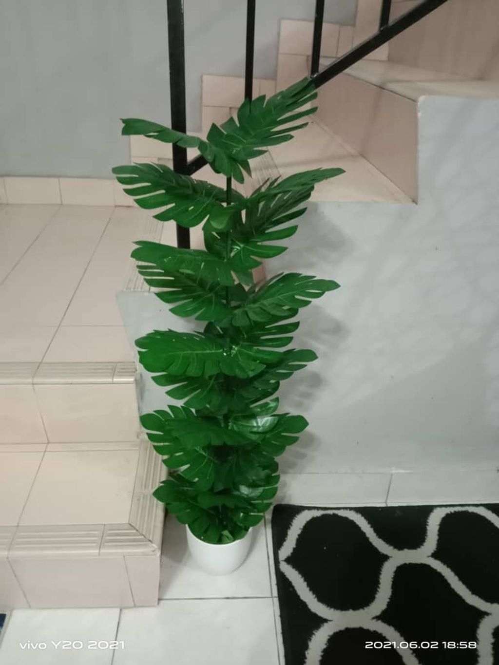 WhatsApp Image 2021-06-03 at 9.28.16 PM (1).jpeg