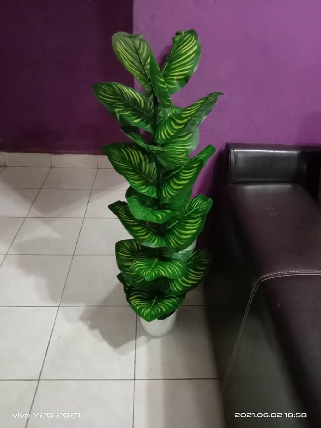 WhatsApp Image 2021-06-03 at 9.28.16 PM.jpeg