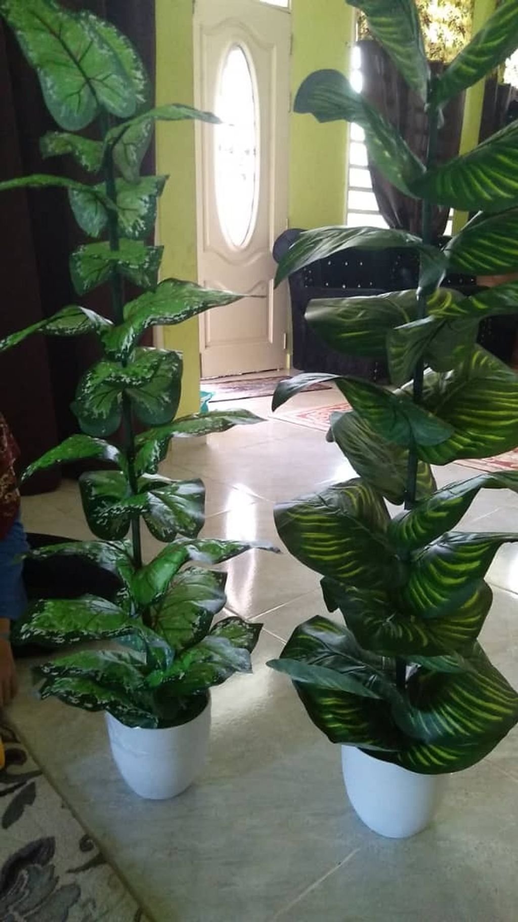 WhatsApp Image 2021-06-03 at 9.28.15 PM.jpeg