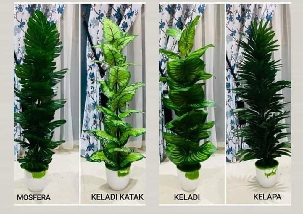 WhatsApp Image 2021-06-03 at 9.38.06 PM.jpeg