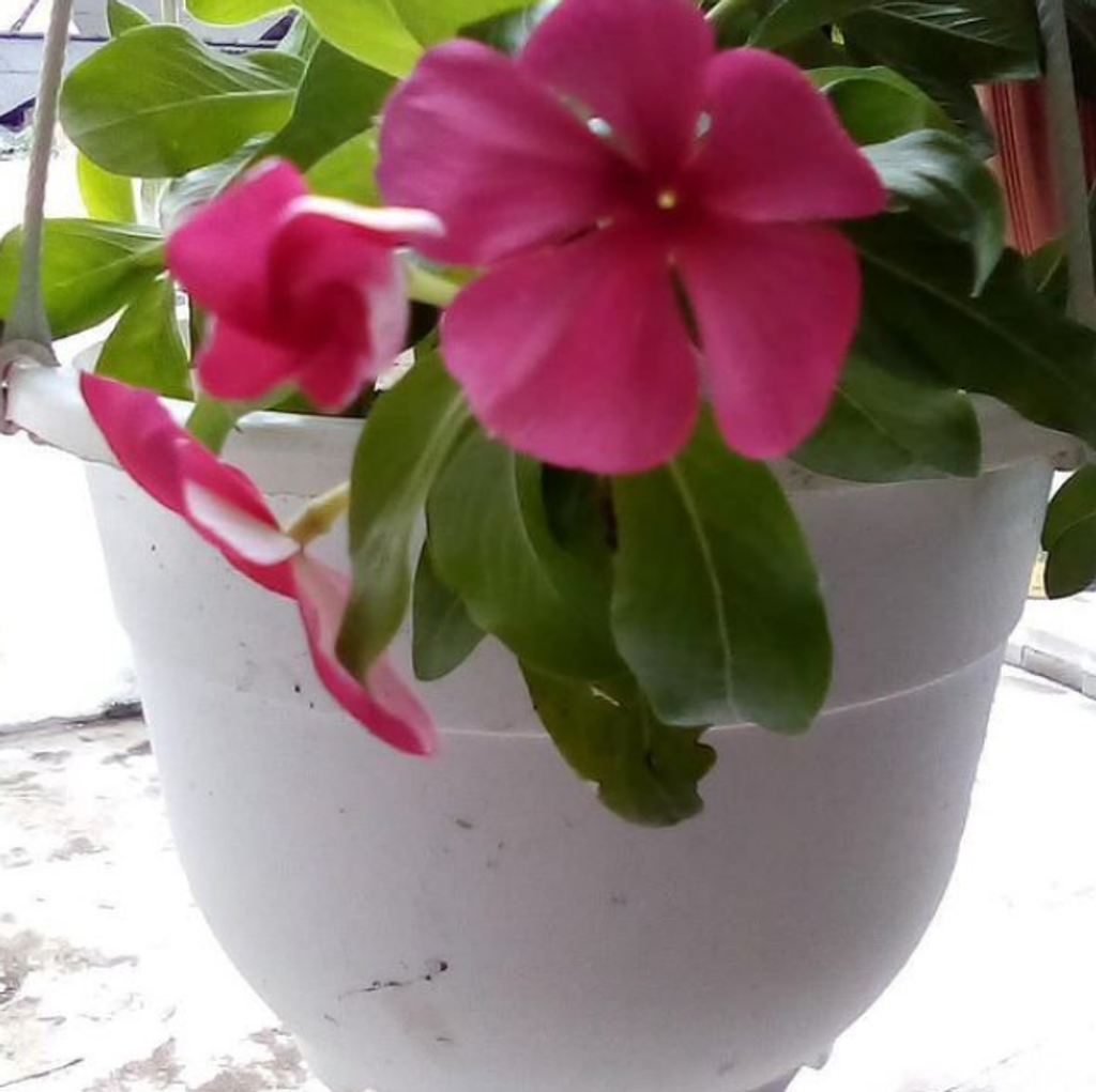 Screenshot 2021-07-05 at 10-32-31 Facebook.png