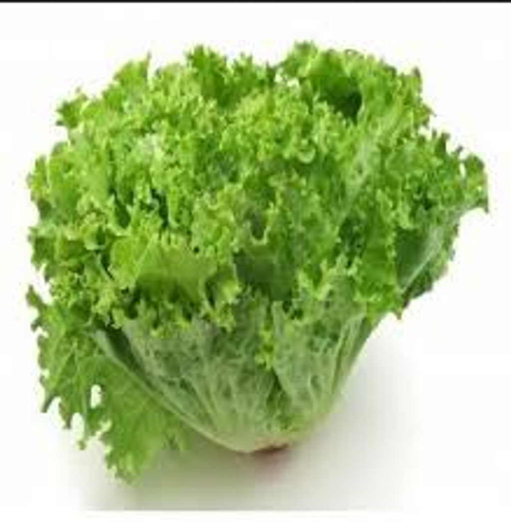 Screenshot 2021-07-07 at 12-15-56 49bf66328774b40f524f5b2c067408a5 (JPEG Image, 225 × 225 pixels).png