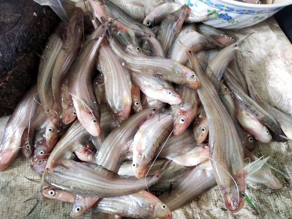 WhatsApp Image 2021-07-13 at 8.07.22 PM.jpeg