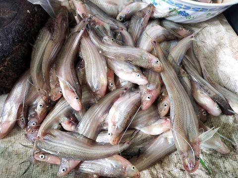 WhatsApp Image 2021-07-13 at 8.07.22 PM.jpeg