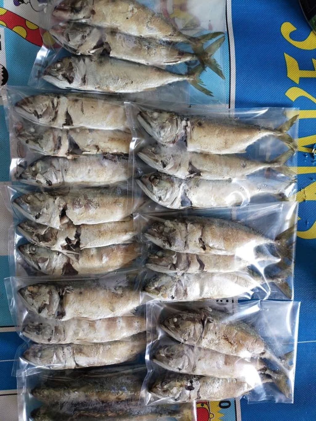 WhatsApp Image 2021-07-13 at 8.07.21 PM (1).jpeg