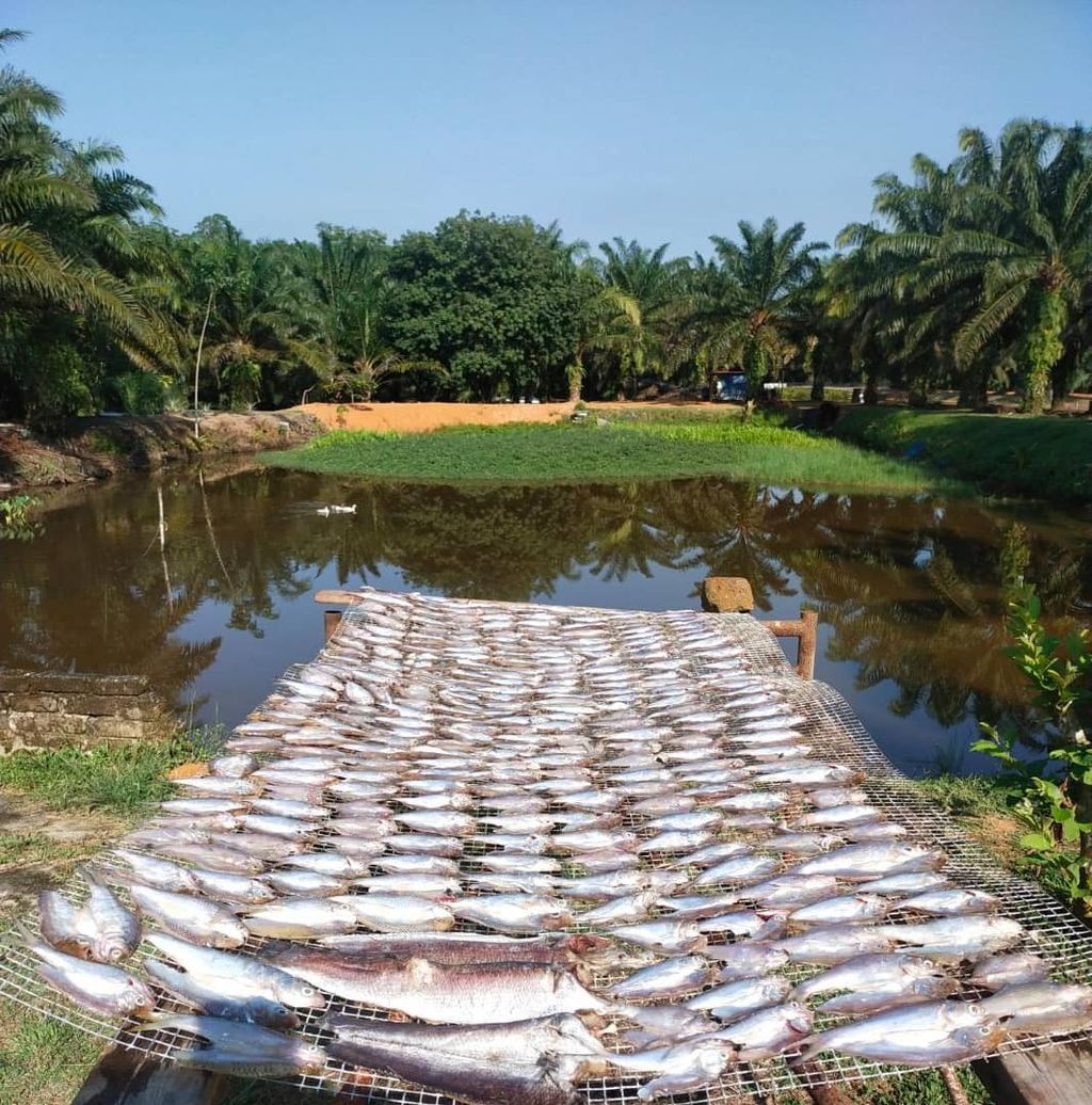 WhatsApp Image 2021-07-13 at 8.07.21 PM.jpeg