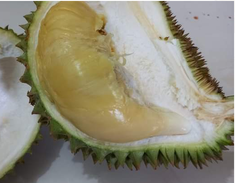 Screenshot 2021-07-16 at 01-08-20 (3) WhatsApp.png