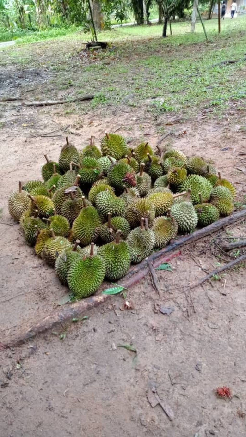 WhatsApp Image 2021-07-16 at 12.24.44 AM (1).jpeg