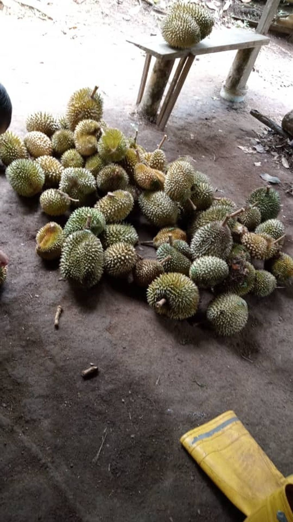 WhatsApp Image 2021-07-16 at 12.24.44 AM.jpeg