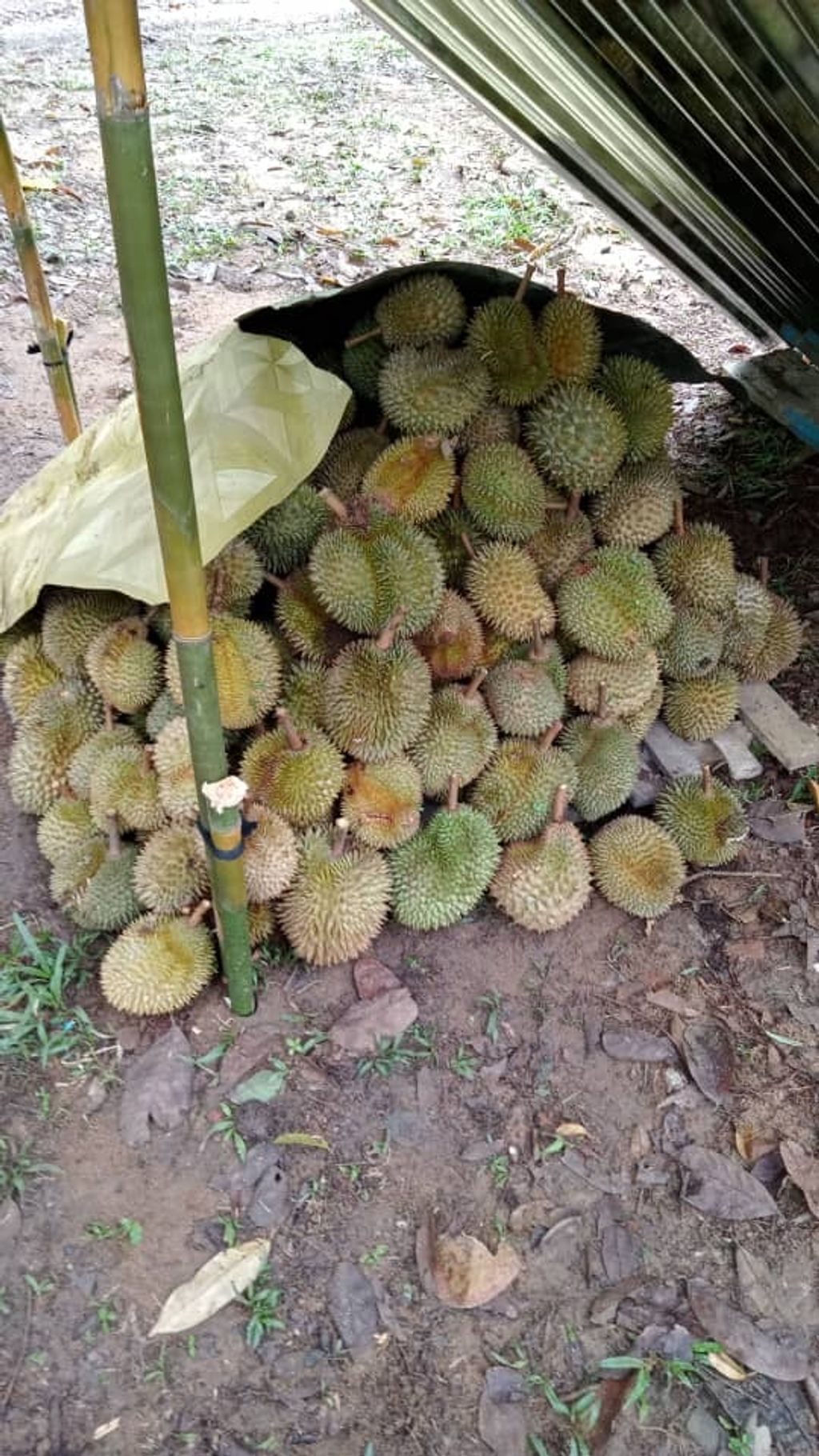 WhatsApp Image 2021-07-16 at 12.24.43 AM (3).jpeg