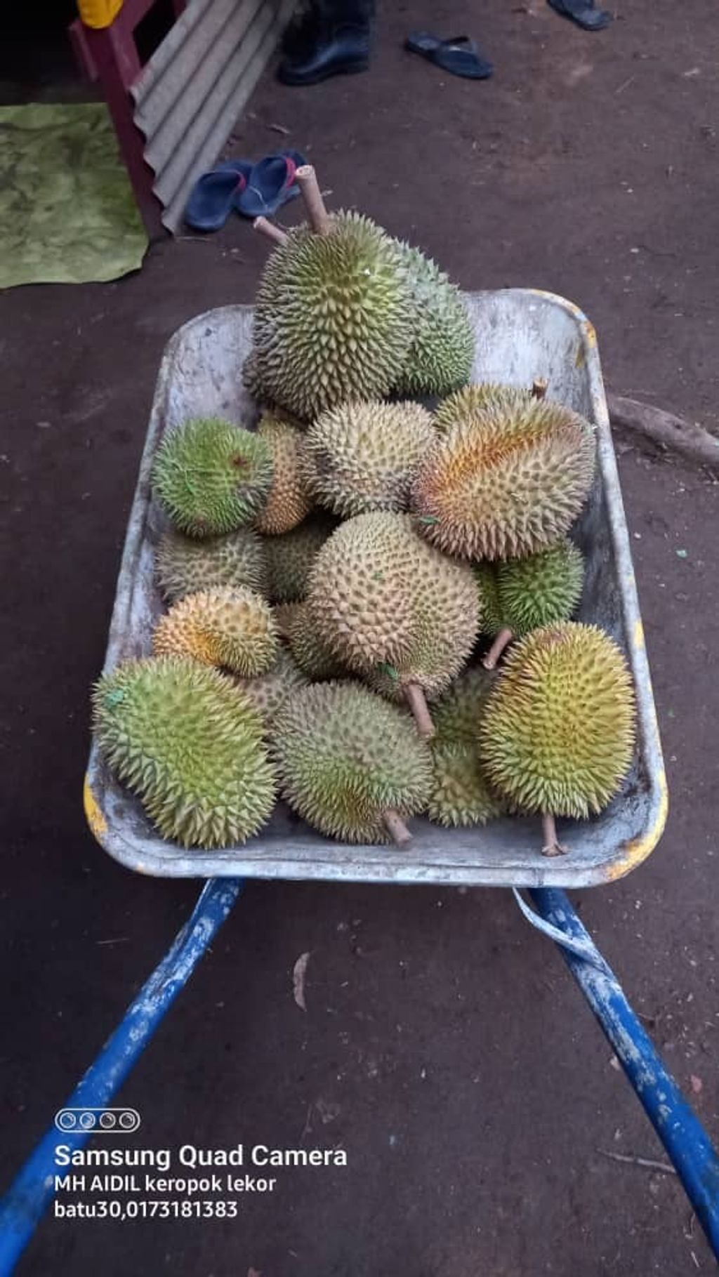 WhatsApp Image 2021-07-16 at 12.24.43 AM (2).jpeg