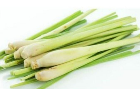 Screenshot 2021-07-18 at 23-53-47 864aeecb3b4cb86453be900bcfdb686e (JPEG Image, 800 × 800 pixels) — Scaled (80%).png