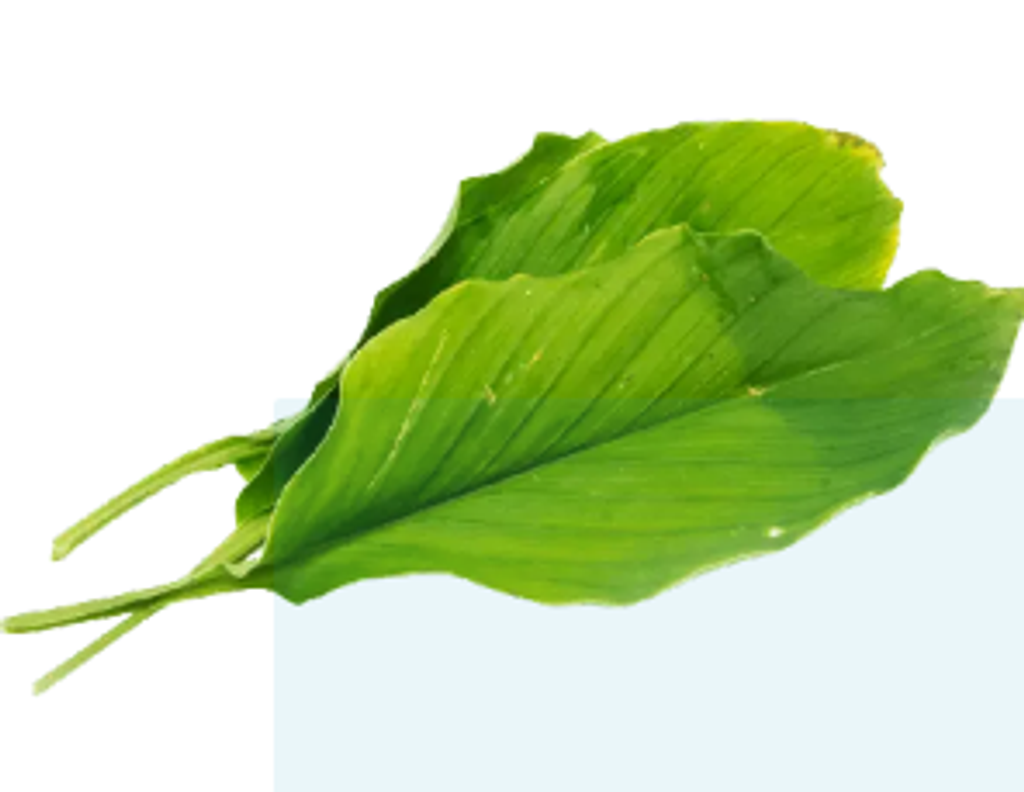 Screenshot 2021-07-19 at 00-07-05 Daun Kunyit (100g+ -) Lazada.png