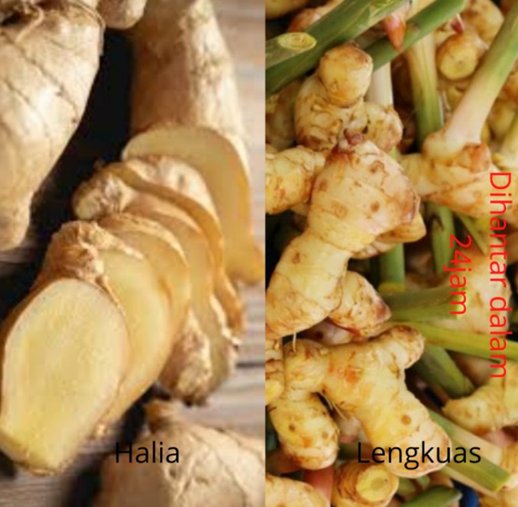 Screenshot 2021-07-19 at 10-50-30 eddc41ae3e406584c27d96ffd05d0820 (JPEG Image, 800 × 800 pixels) — Scaled (80%).png