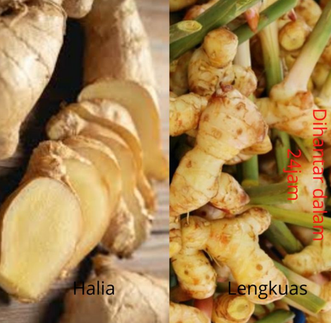 Screenshot 2021-07-19 at 10-50-30 eddc41ae3e406584c27d96ffd05d0820 (JPEG Image, 800 × 800 pixels) — Scaled (80%).png