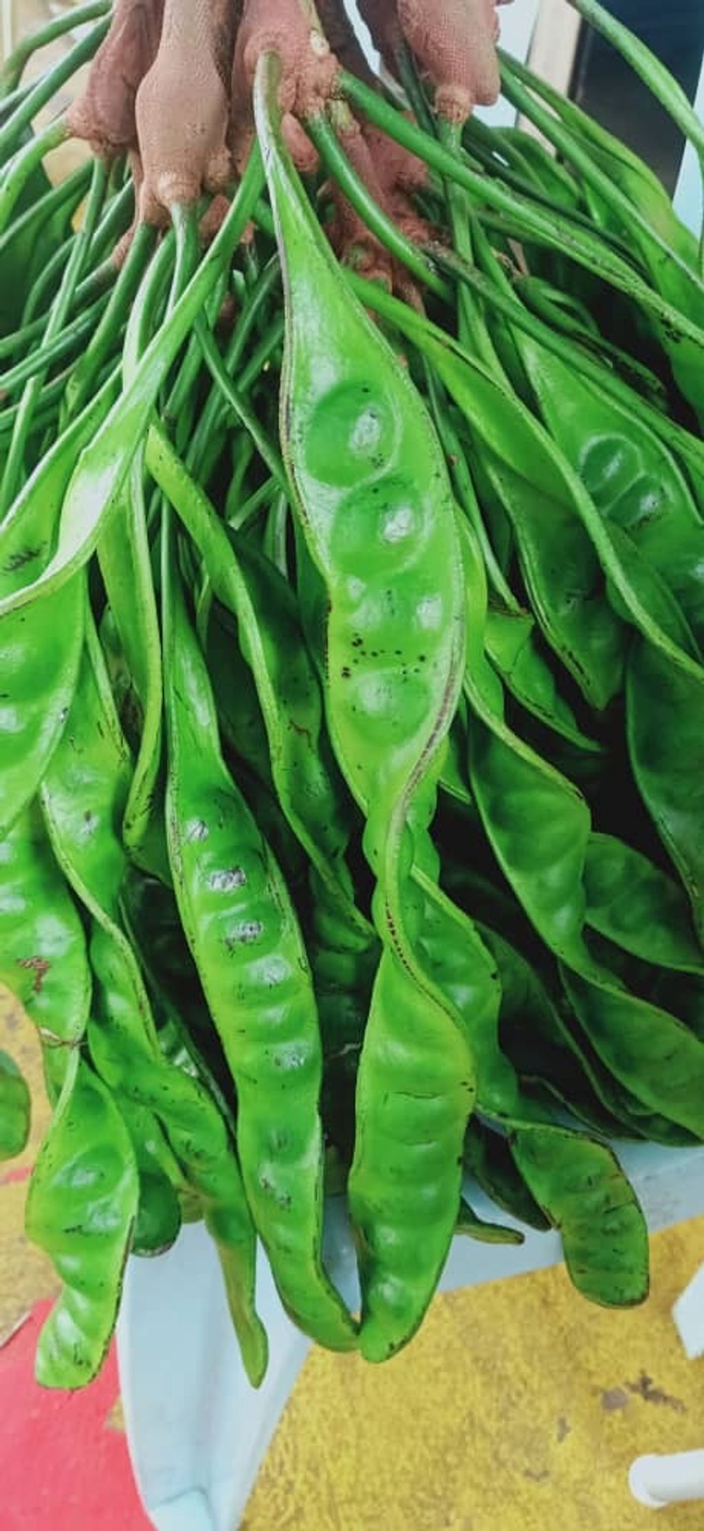 WhatsApp Image 2021-07-25 at 6.21.29 PM.jpeg