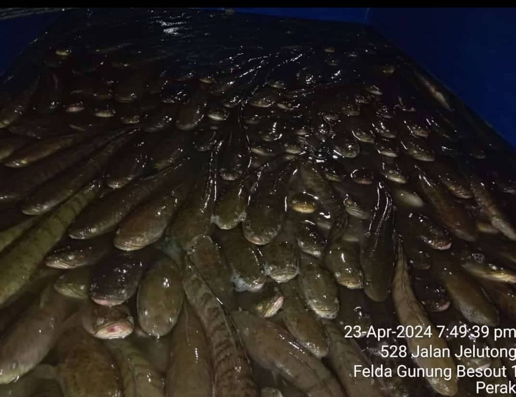 WhatsApp Image 2024-04-27 at 10.49.04 AM