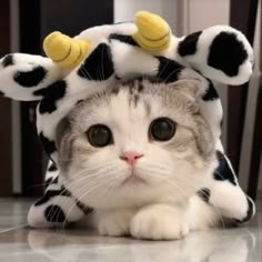 1f1567cb78edbc00679fe6ad58c1f31b