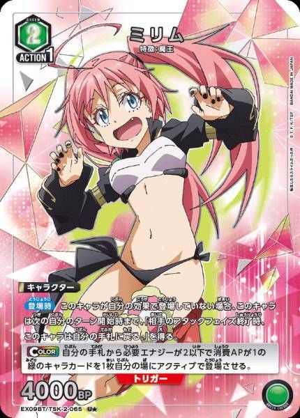 EX09BT_TSK-2-065_2