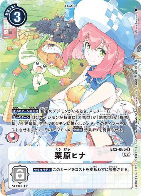 EX3-065B