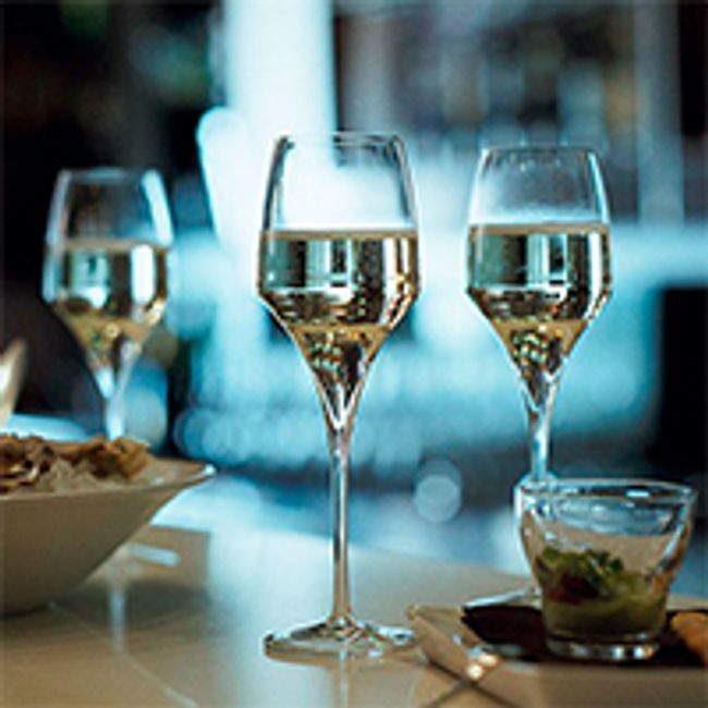 The Everest Hospitality Store | PRODUCT CATEGORIES - DRINKWARE