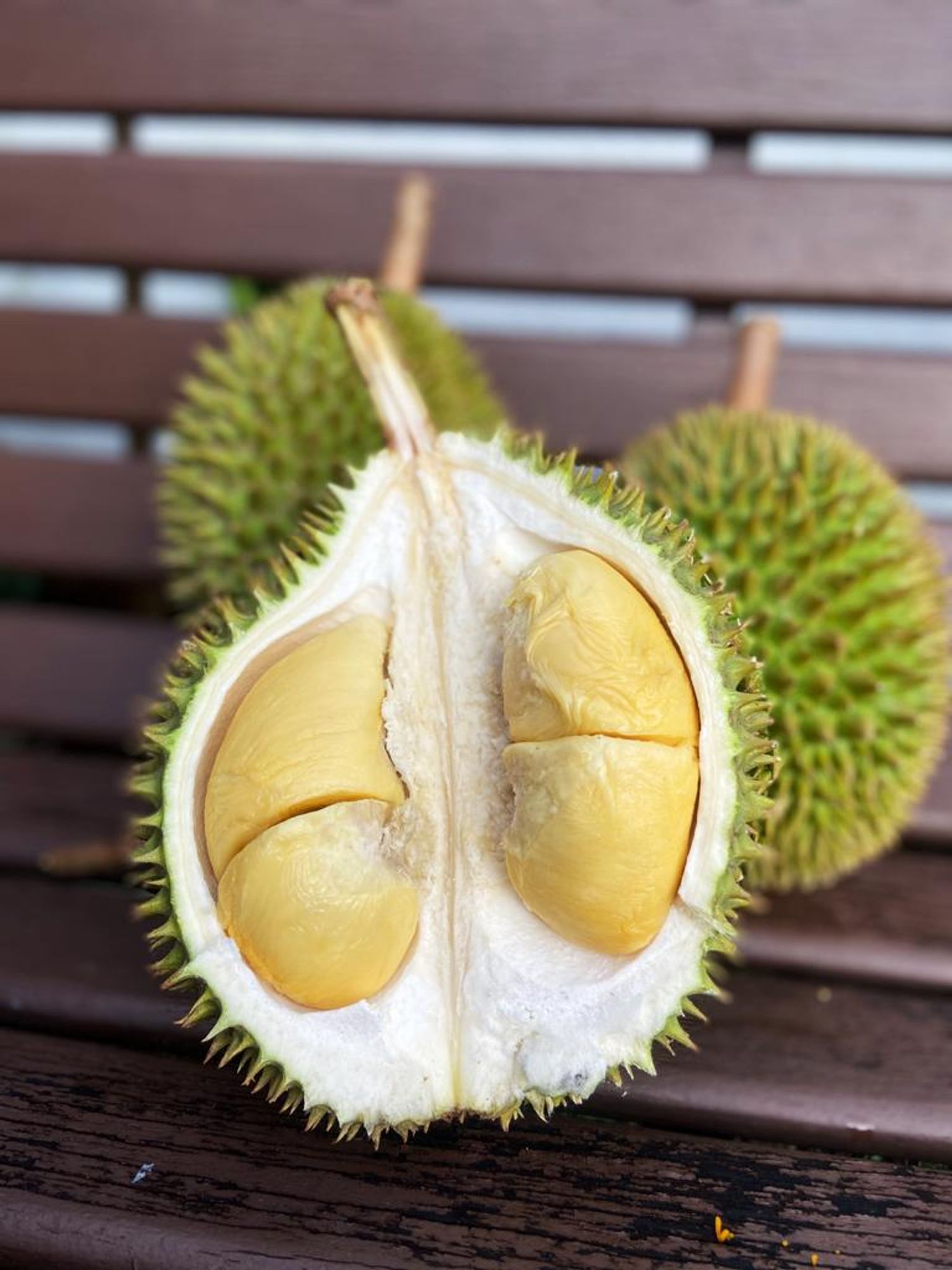 Durian Go | D24