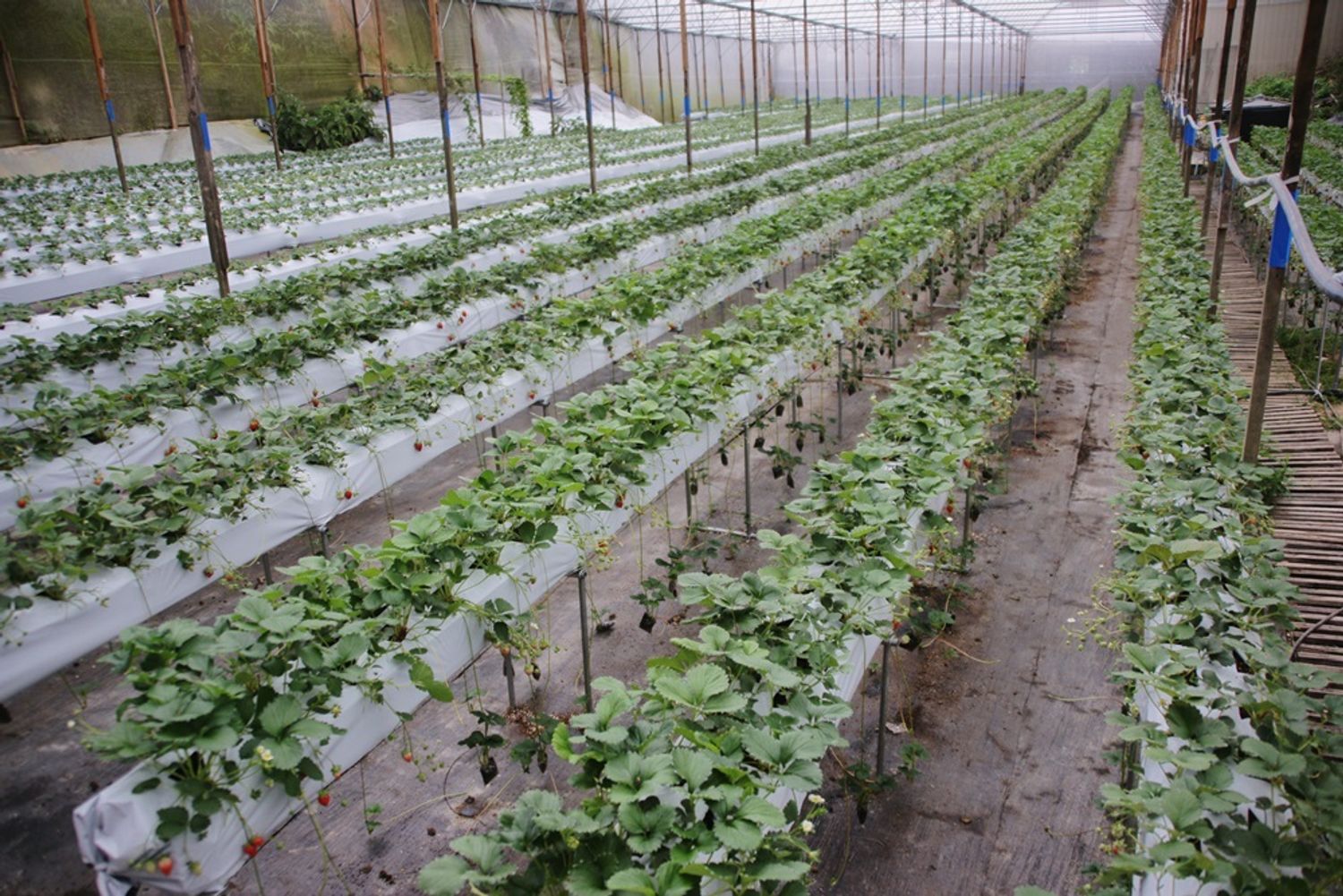 Megan Store | OUR FARM