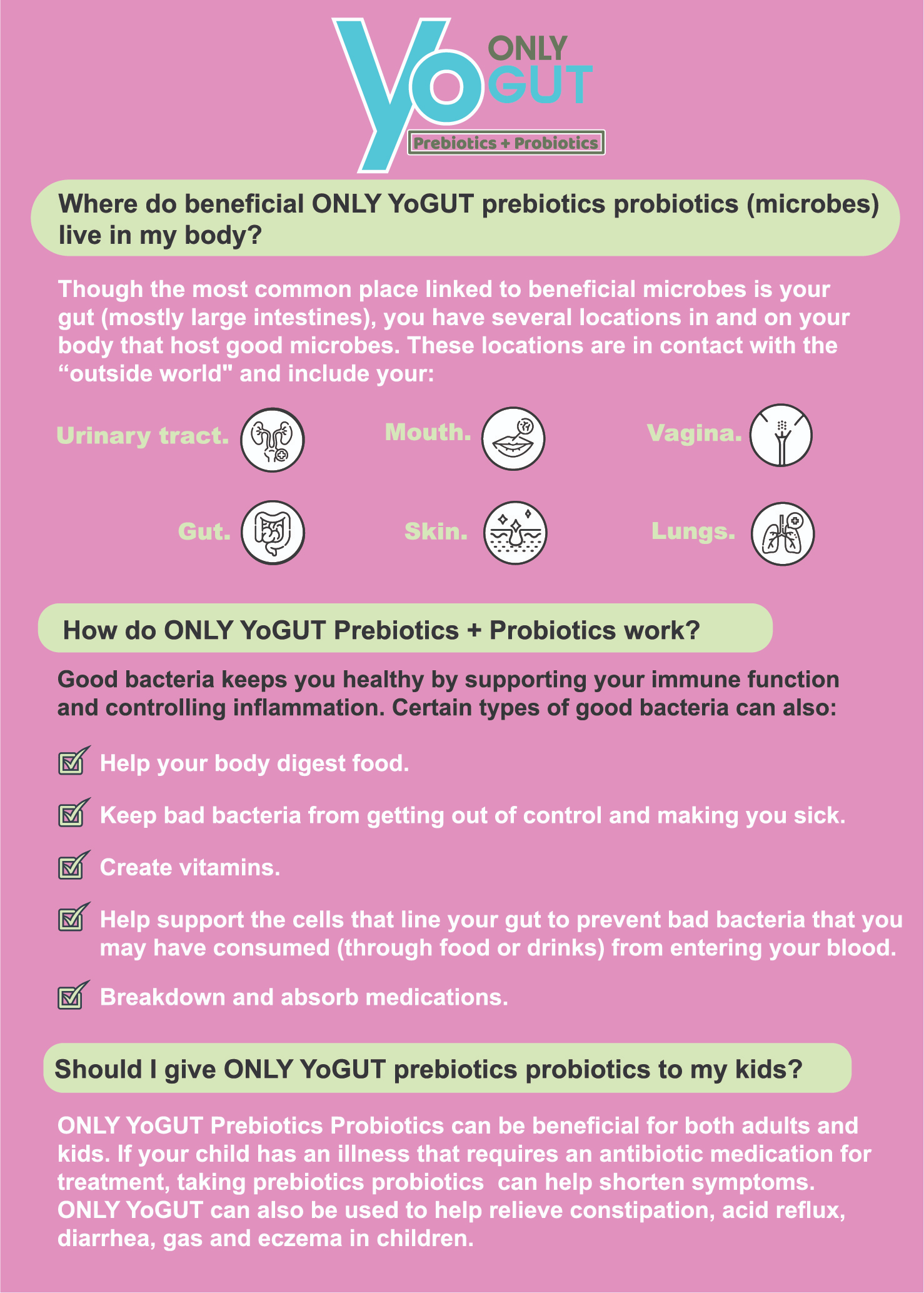 Only Yogut leaflet-03.jpg