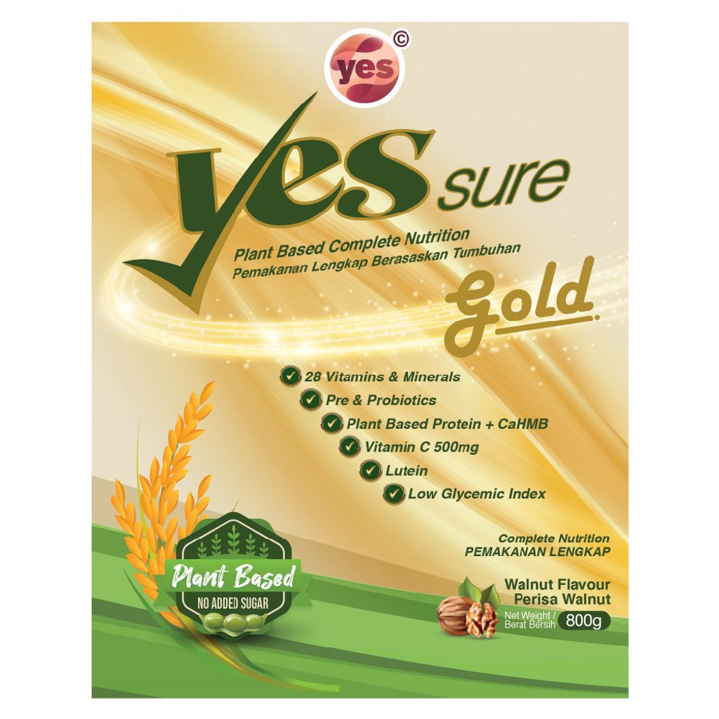 Yes Sure Go cover-01.jpg