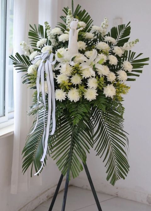 WhatsApp Image 2026-04-16 at 2.25.46 PM