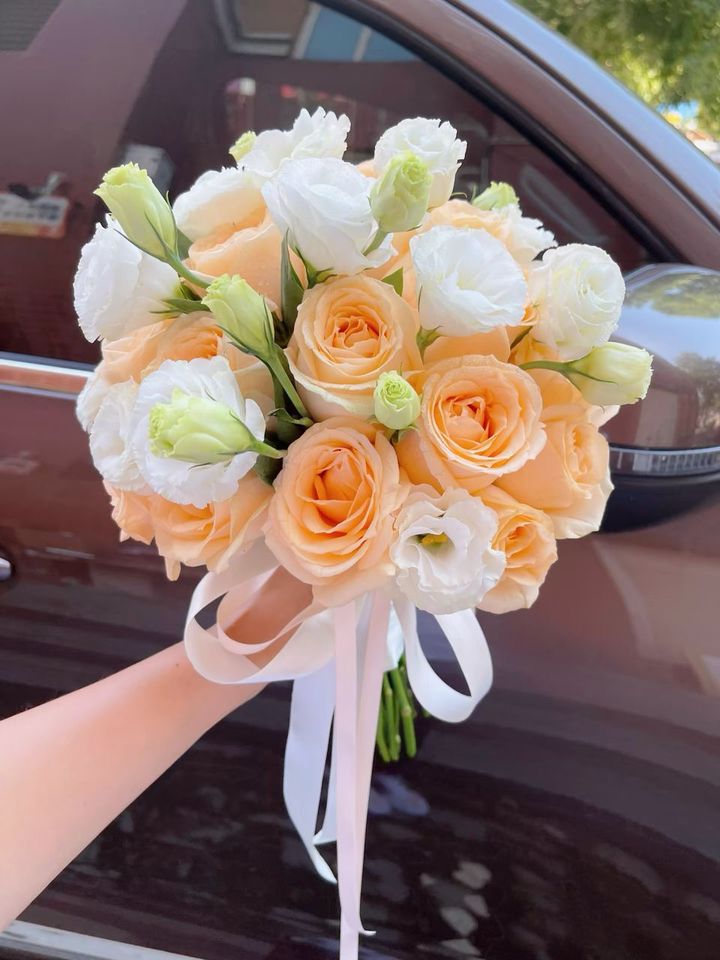 image_91C74D59-E741-4844-8557-9B26DC792B06_1741492695