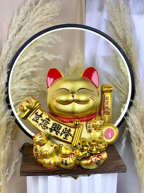 image_FC037CA0-3301-4879-94A8-1AC4F737861E_1761892098