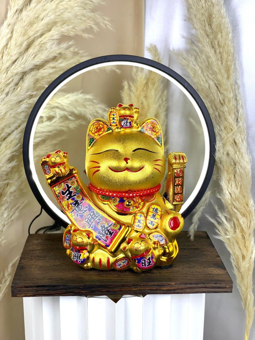 image_C21C954D-16CB-4E56-B1A8-49D553D62F02_1761892130