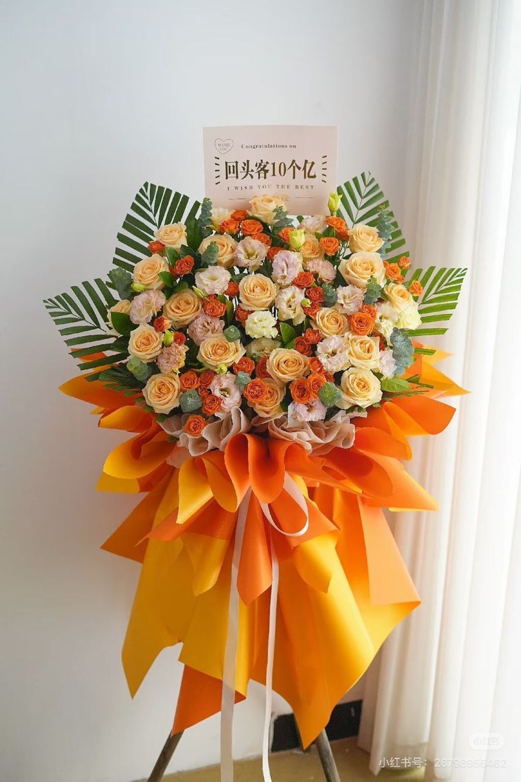 image_0C2552B8-58F6-40E8-9B62-90DB222EDA1F_1762486647