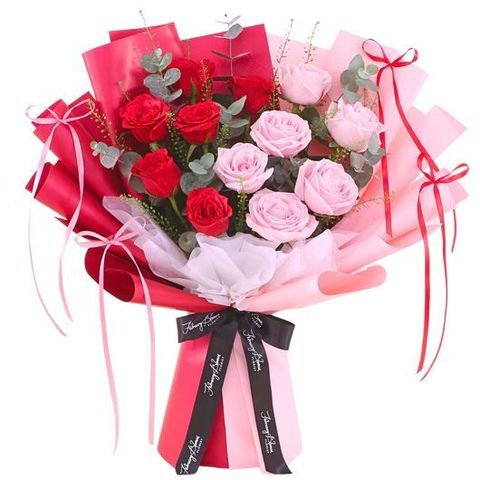 WhatsApp Image 2025-11-09 at 4.16.15 PM