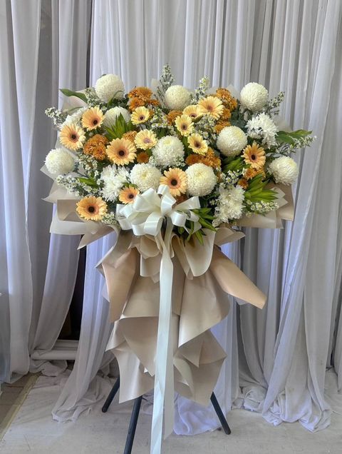 WhatsApp Image 2025-11-13 at 11.11.29 AM