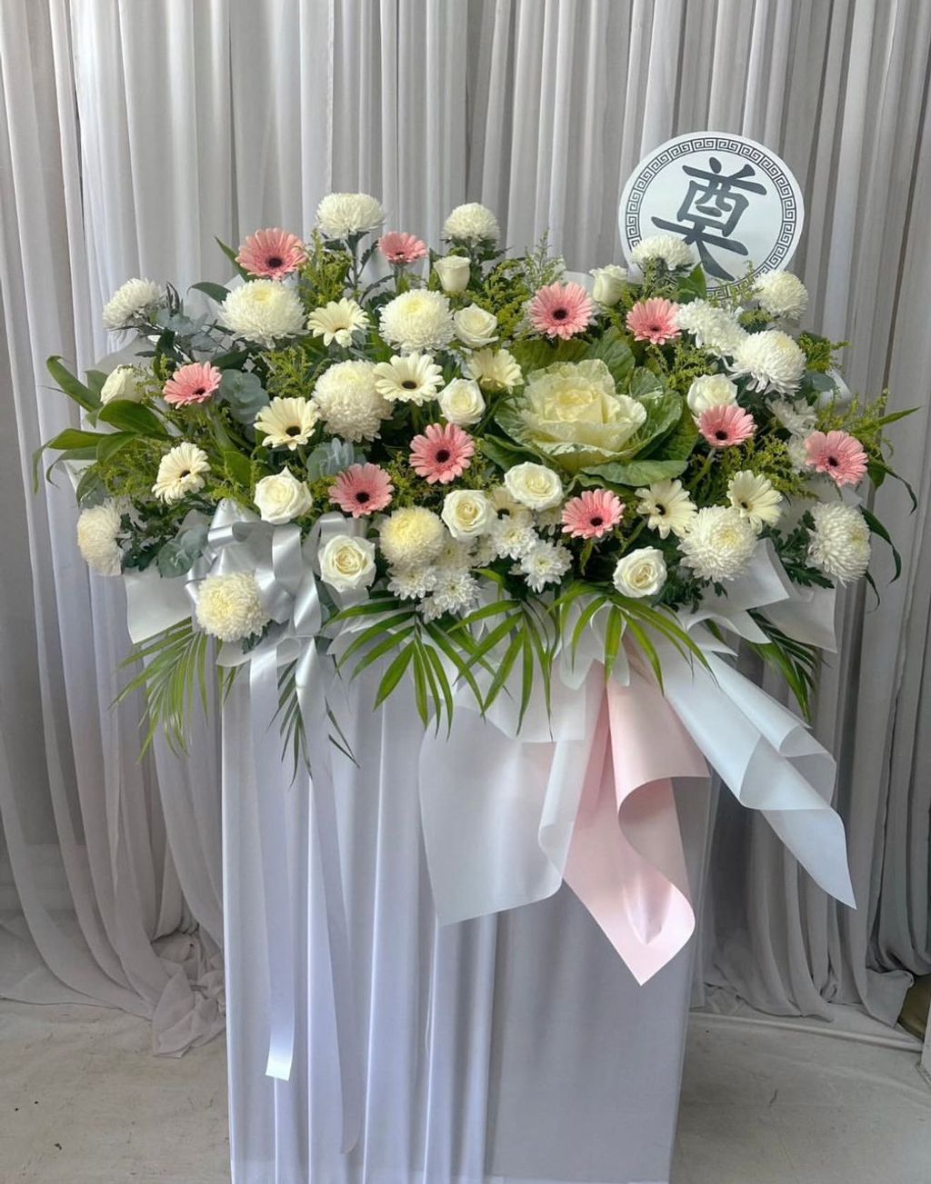 WhatsApp Image 2025-11-13 at 11.11.30 AM