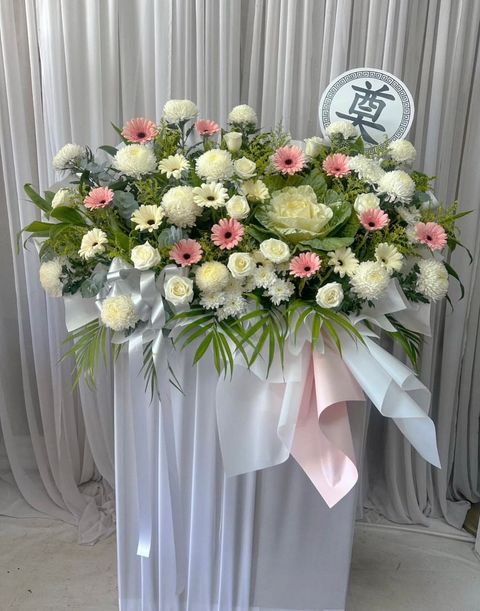 WhatsApp Image 2025-11-13 at 11.11.30 AM